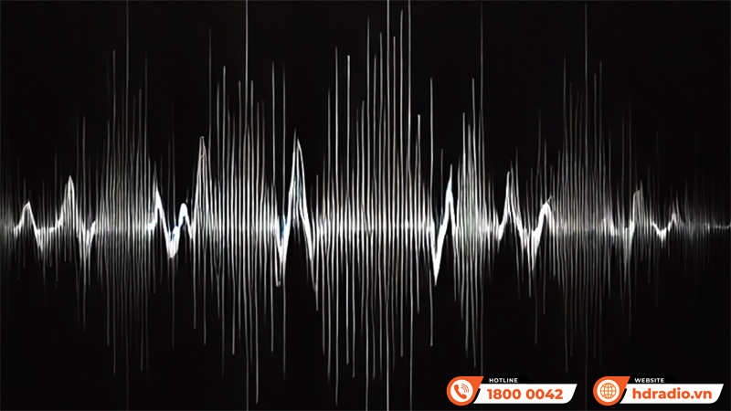 Power Amply Eversolo AMP-F10