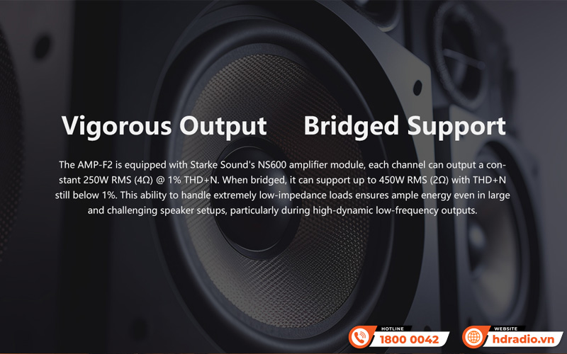 Power Amply Eversolo AMP-F2