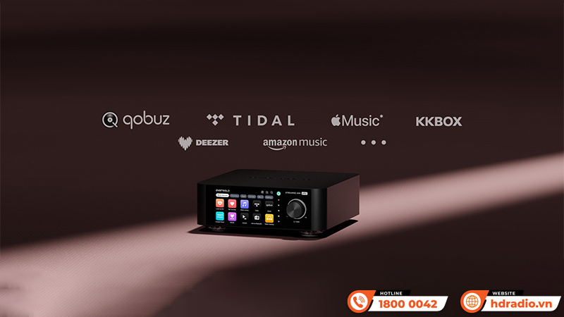 Amply Eversolo Play CD Edition