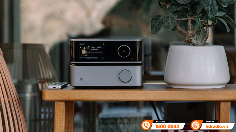 Amply WiiM Vibelink Amp