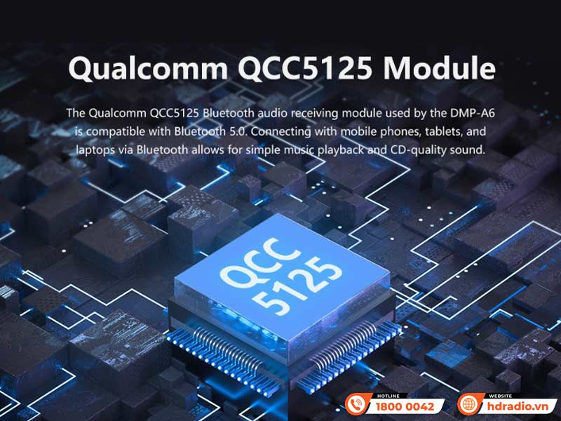 Bluetooth Network Streamer Eversolo DMP-A6