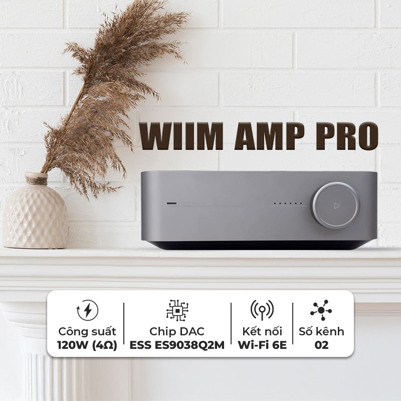 Amply WiiM Amp Pro 