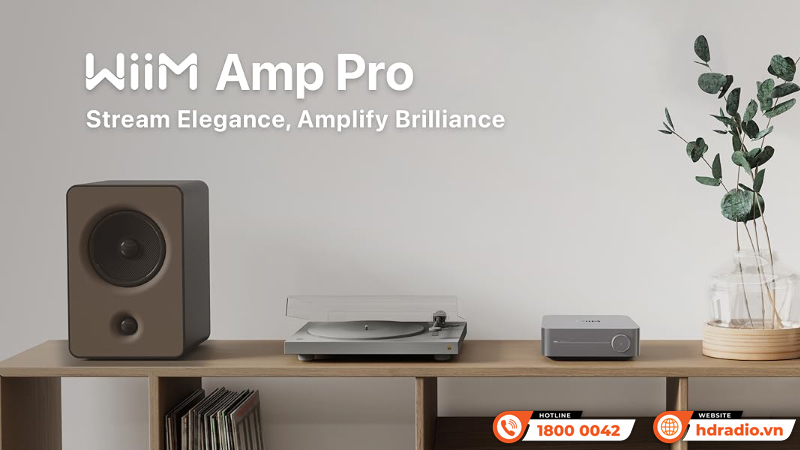 Amply WiiM Amp Pro 