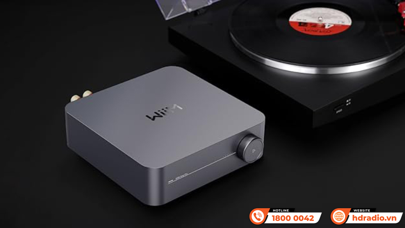 Music Server + DAC + Network Streamer + Amply WiiM Amp Pro 