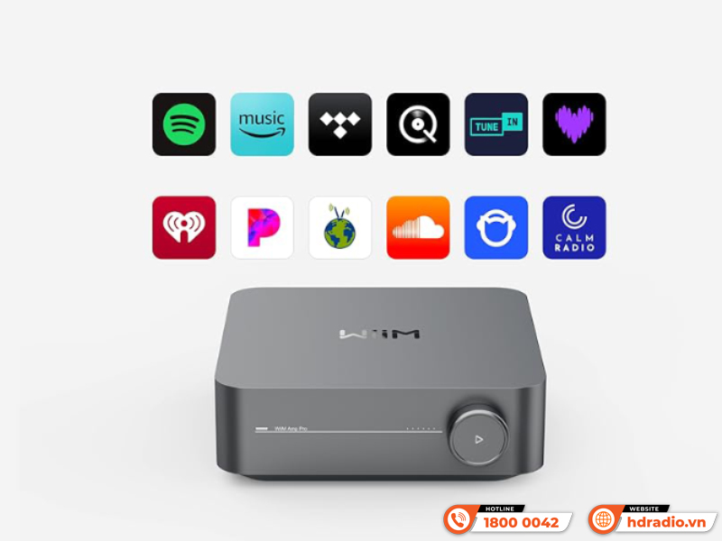 Music Server + DAC + Network Streamer + Amply WiiM Amp Pro 
