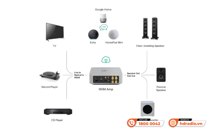 Music Server + DAC + Network Streamer + Amply WiiM Amp Pro 