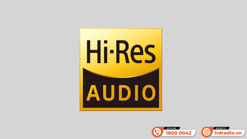 Music server + Network streamer + DAC + Pre Amp Eversolo DMP A10