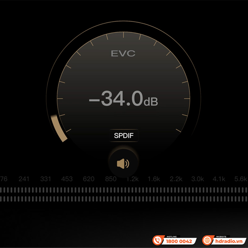 Music server + Network Streamer + DAC + Preamp Eversolo DMP A6 Gen 2