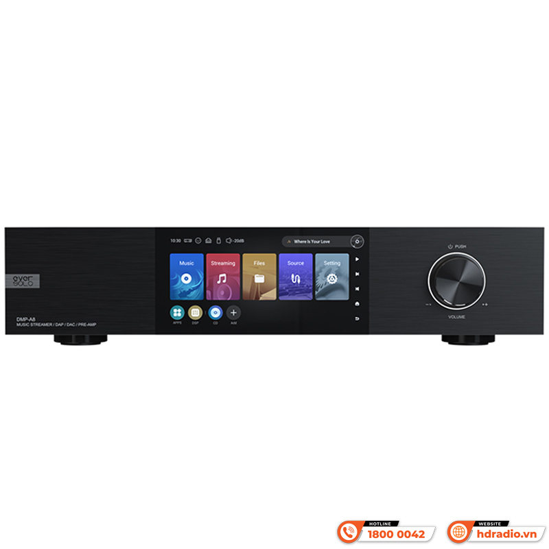 Music server + Network Player + DAC Eversolo DMP-A8