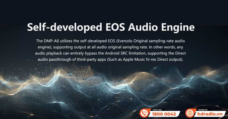 Music server + Network Player + DAC Eversolo DMP-A8