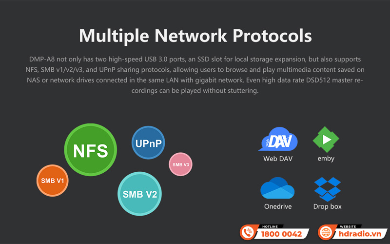 Music server + Network Player + DAC Eversolo DMP-A8