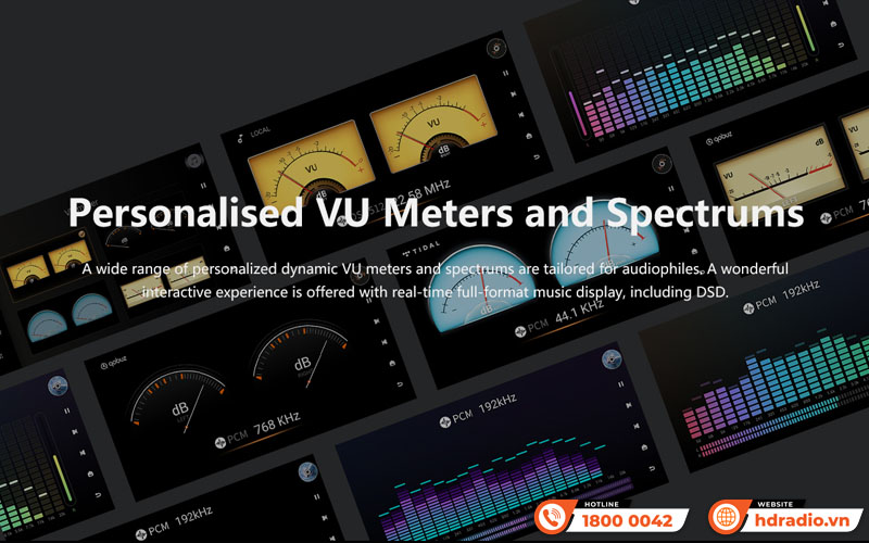 Music server + Network Player + DAC Eversolo DMP-A8