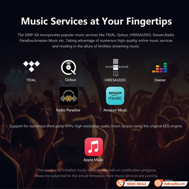 Music server + Network Player + DAC Eversolo DMP-A8