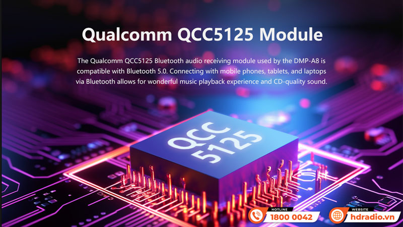 Music server + Network Player + DAC Eversolo DMP-A8