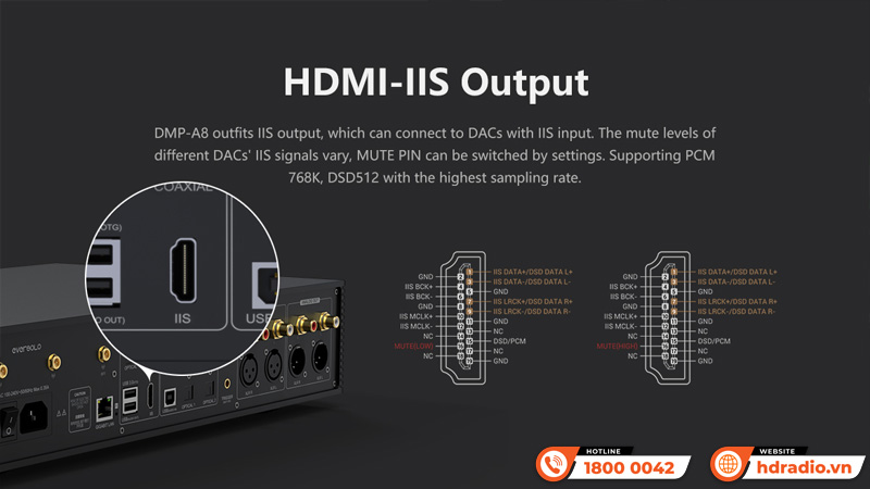 Music server + Network Player + DAC Eversolo DMP-A8