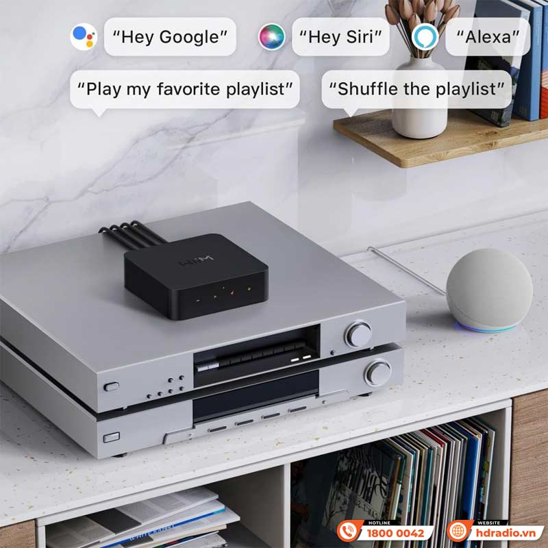 Điều khiển Music Streamer WiiM Pro Plus