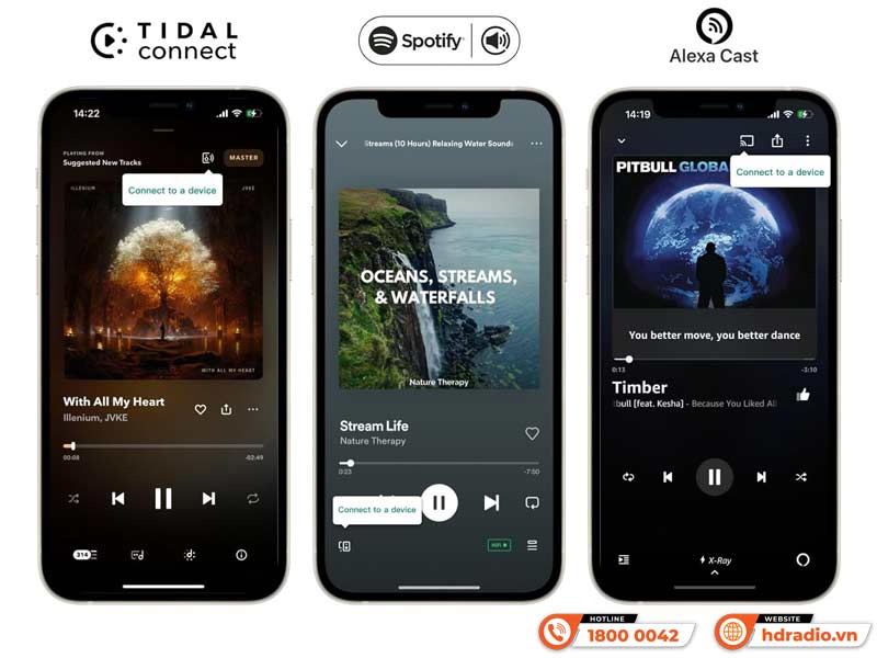 Streaming Music Streamer WiiM Pro Plus
