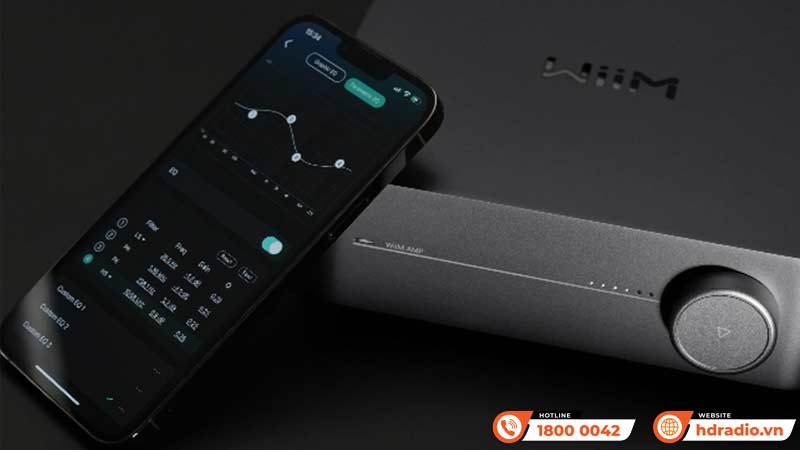 App Network Streamer WiiM Amp