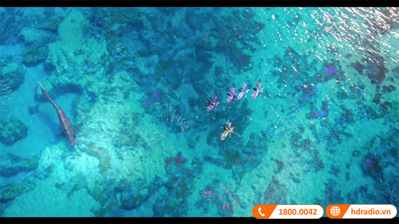 Dau Dune HD Real Vision 4K Duo