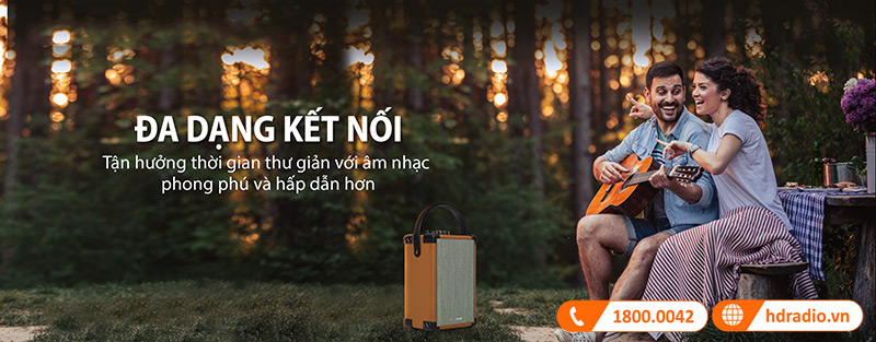 đa dạng kết nối với  Boston Acoustics HB 5