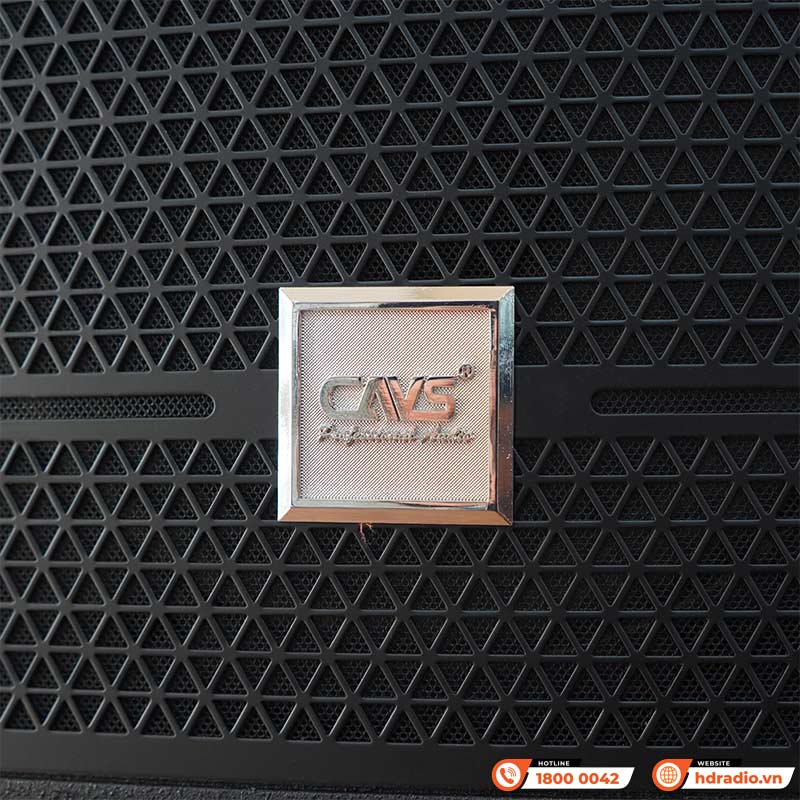 Loa CAVS CK10, Bass 25cm, 800W, 90 dB, 8 Ohms-4