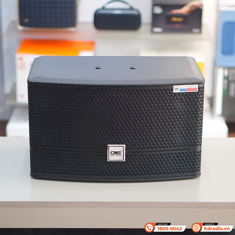 Loa CAVS CK10, Bass 25cm, 800W, 90 dB, 8 Ohms-7