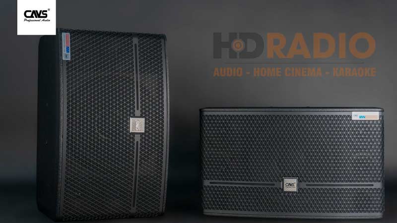 Loa CAVS CK10
