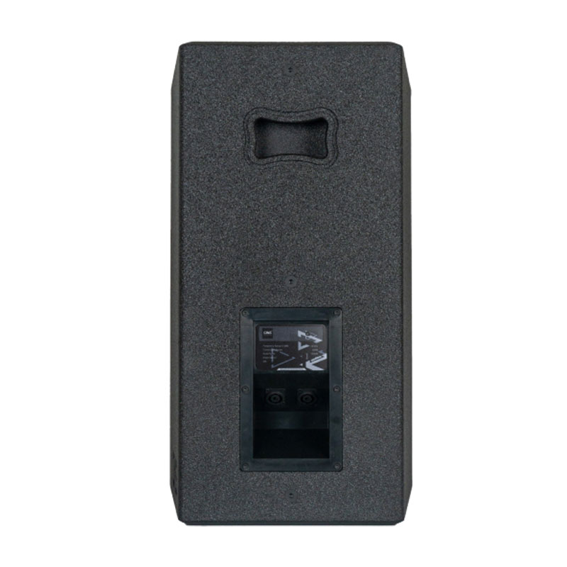 Loa CAVS G12, Bass 30cm, 500W-3