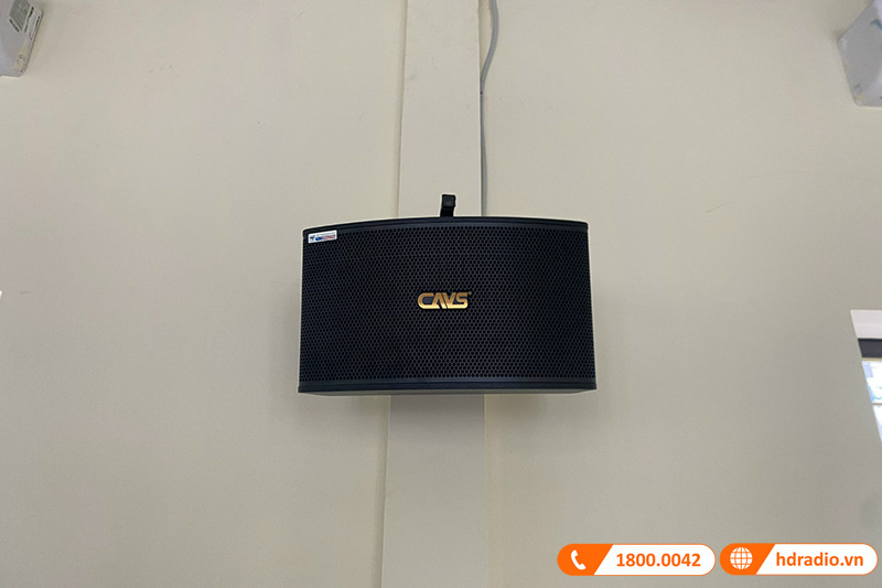 Loa CAVS LF712, Bass 30cm, 300W-3