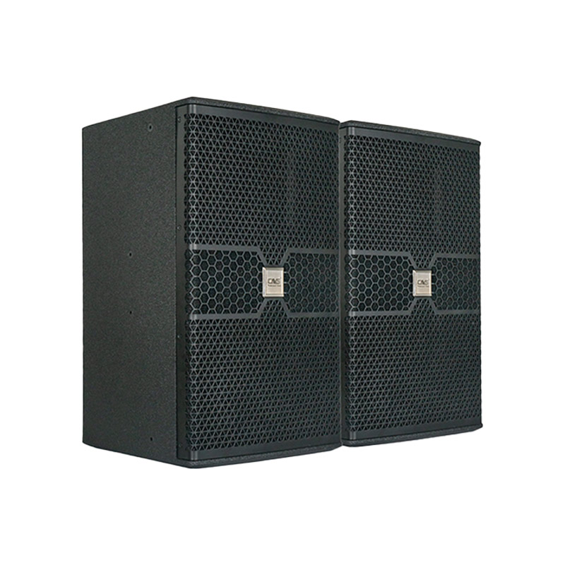 Loa CAVS K12, Bass 30cm, 500W-2