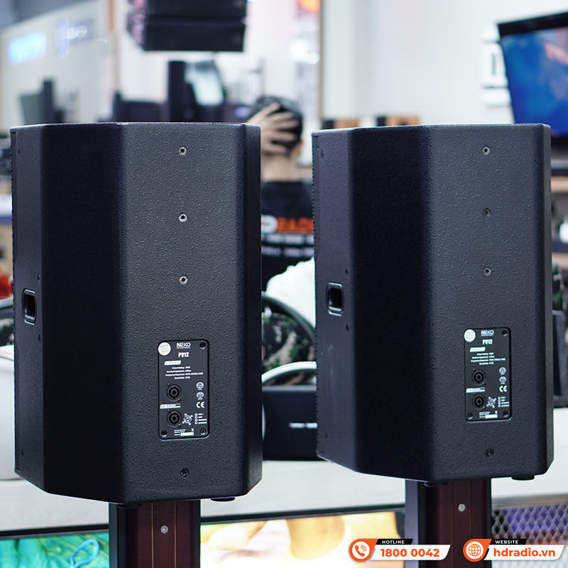 Loa NEKO PV12, Bass 30cm, Công Suất 450W-13