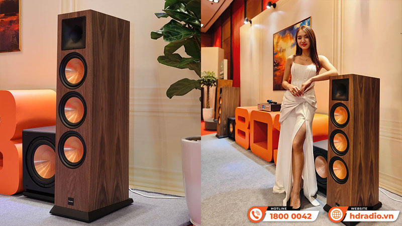 Loa Paramax EURO 803 Limited