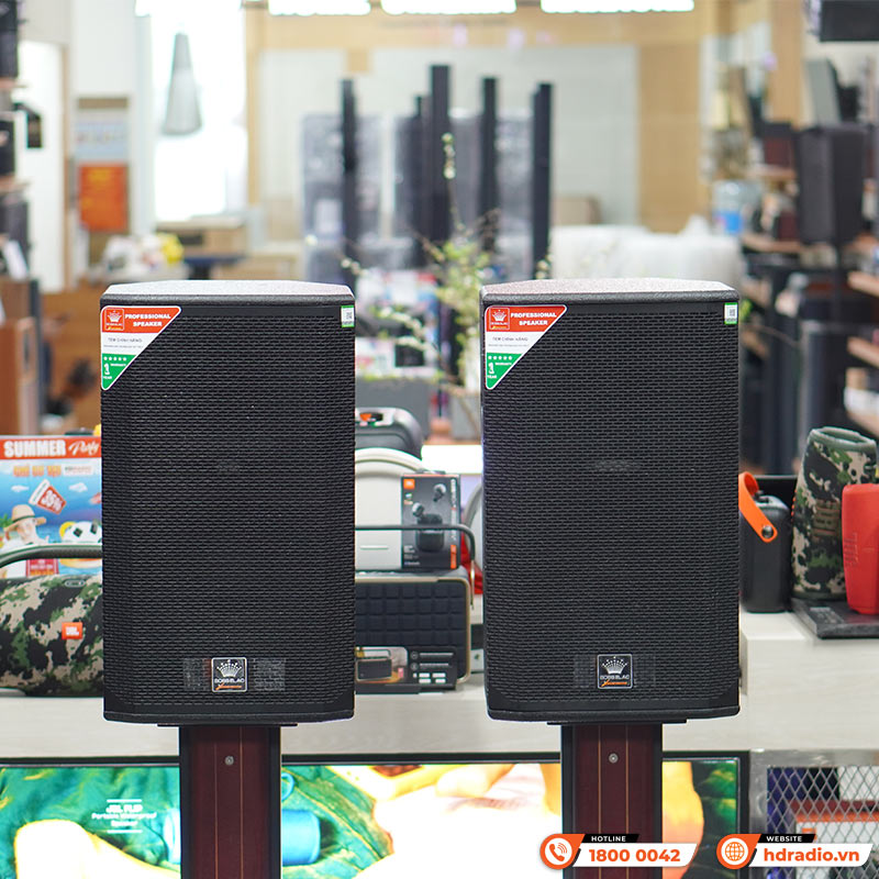 Loa BossElac SX12 Pro Plus, Bass 30 cm, 300W, 20Hz – 20KHz-8