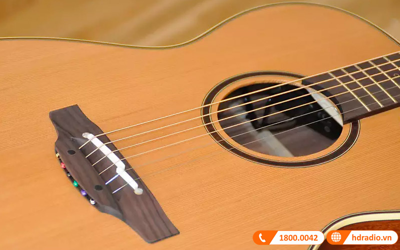 Đàn Guitar Takamine P3MC, guitar acoustic eclectric-9