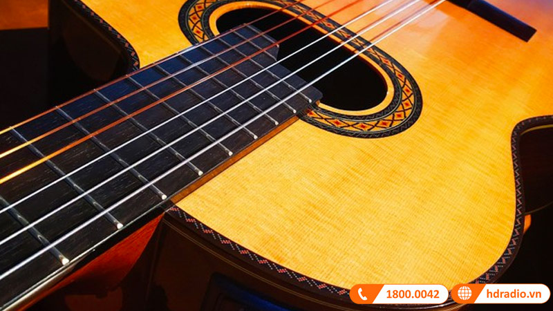 Đàn Guitar Takamine TH90, guitar classic-2