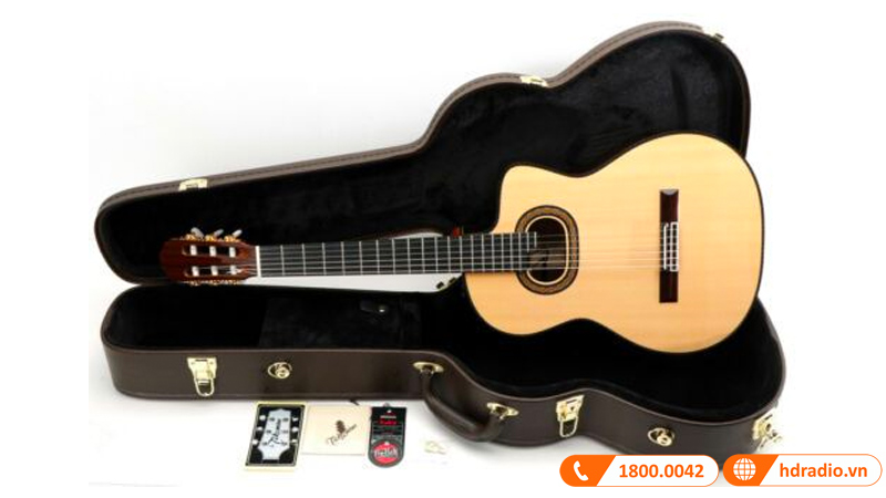 Đàn Guitar Takamine TH90, guitar classic-3