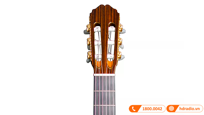 Đàn Guitar Takamine TH90, guitar classic-5