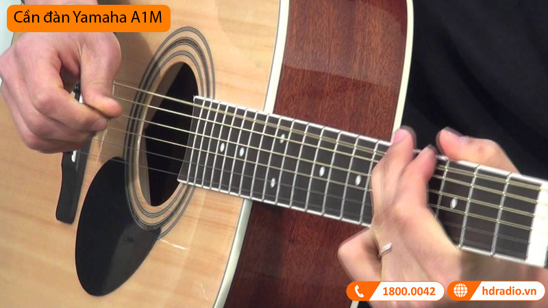 Đàn Guitar Yamaha A1M