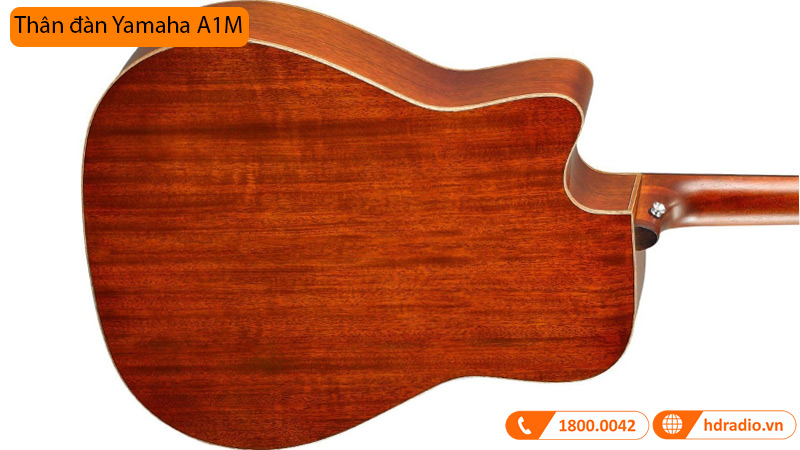 Đàn Guitar Yamaha A1M