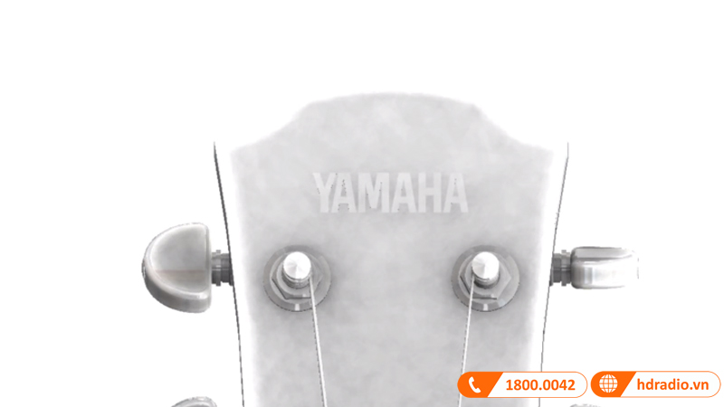 Đàn Guitar Yamaha A5M ARE
