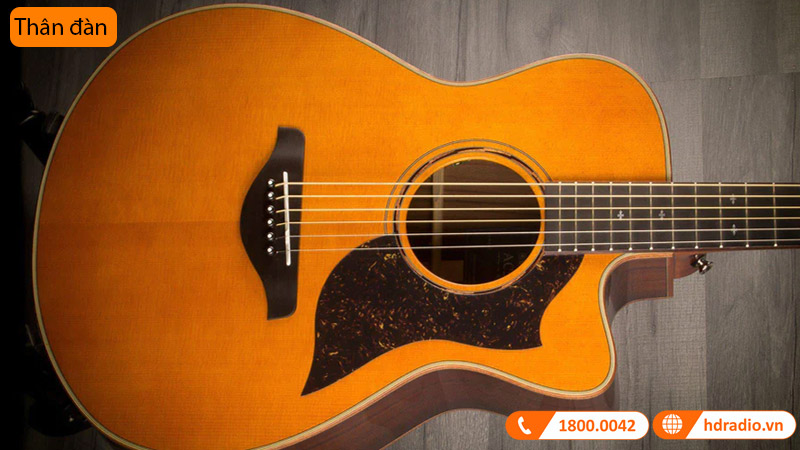 Đàn Guitar Yamaha A5M ARE