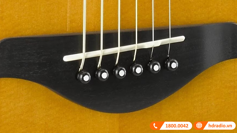 Đàn Guitar Yamaha A5M ARE
