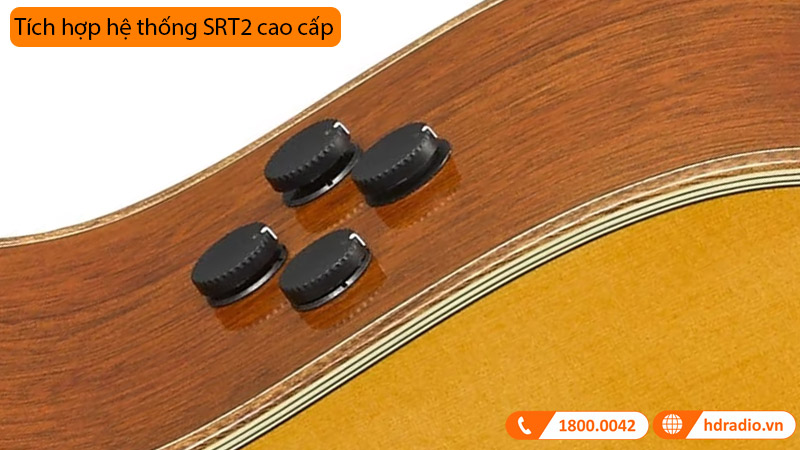 Đàn Guitar Yamaha A5M ARE