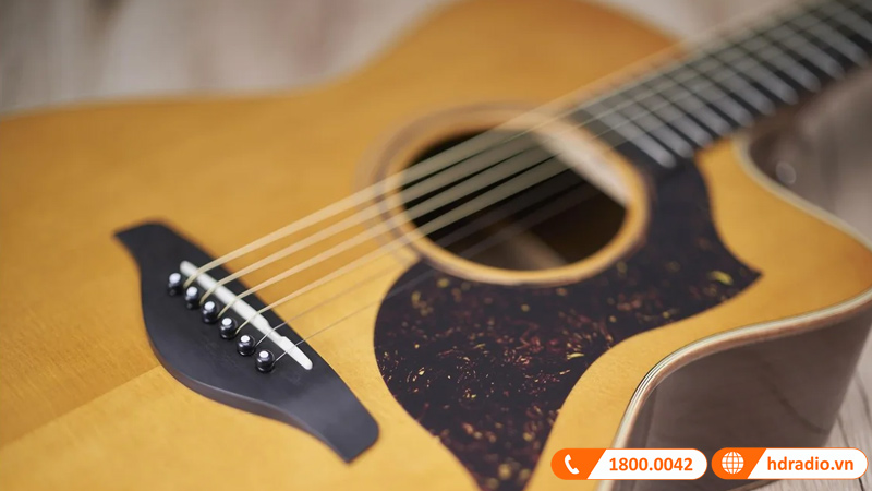 Đàn Guitar Yamaha A5M ARE