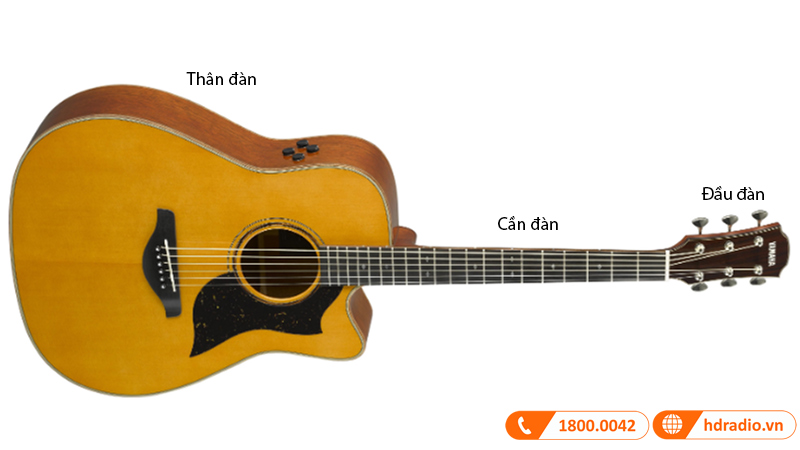 Đàn Guitar Yamaha A5M ARE
