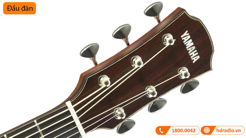 Đàn Guitar Yamaha A5M ARE