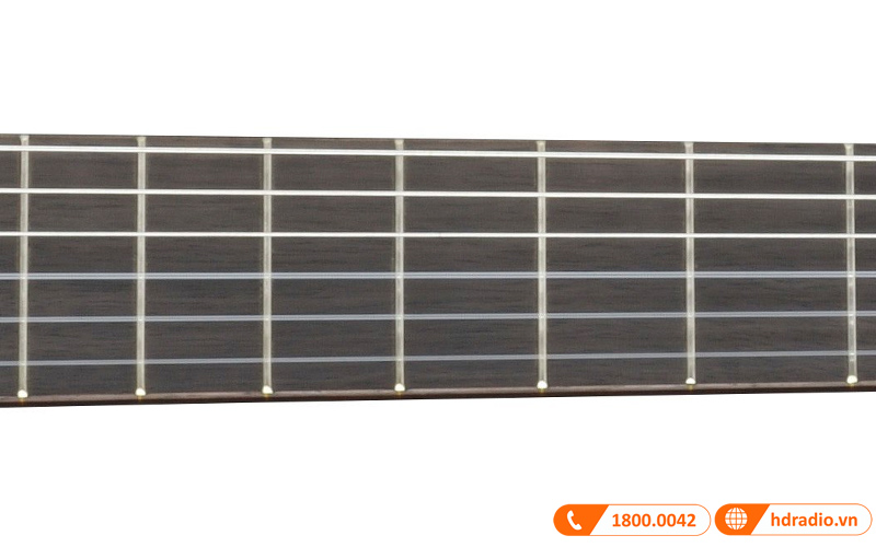 Đàn Guitar Yamaha C40II, guitar classic-5