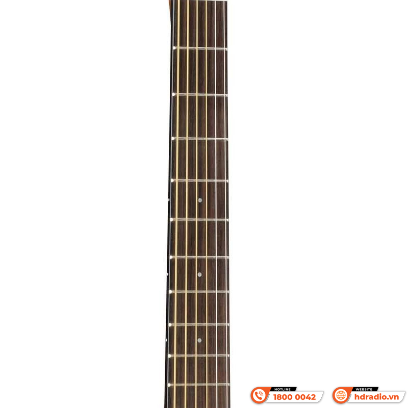 Đàn Guitar Yamaha FSX800C