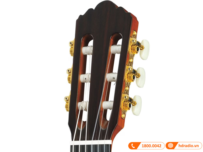 Đàn Guitar Yamaha GC22C, guitar classic-3