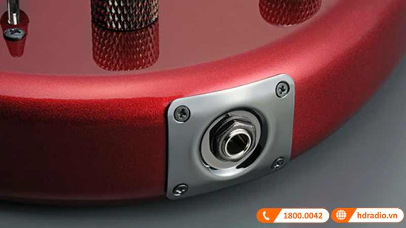 Đàn Guitar TRBX304